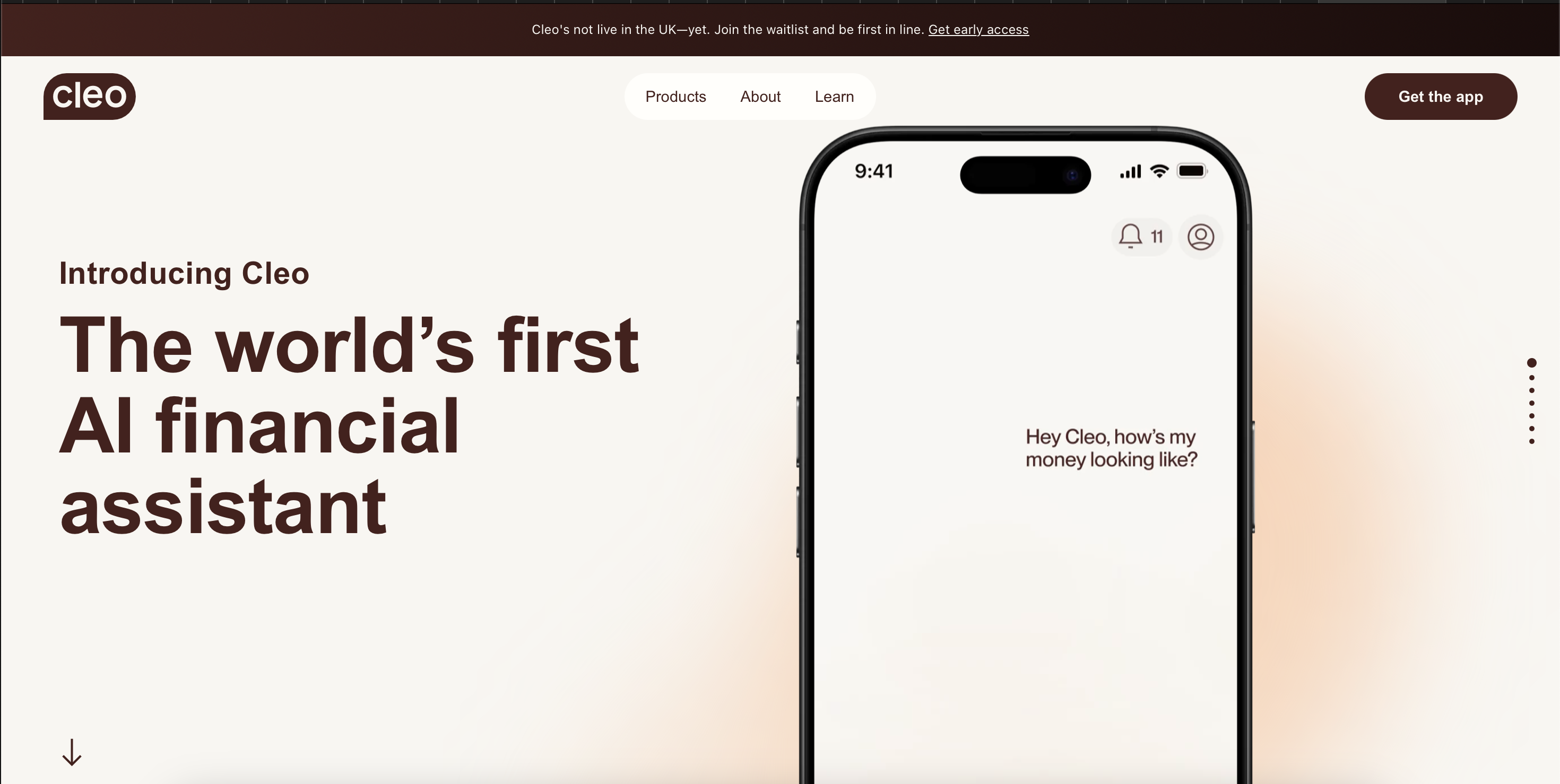 AI Money Manager: Making Finance Fun and Functional